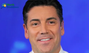 Steve Grasso Net Worth 2026